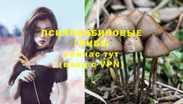 ECSTASY Богданович