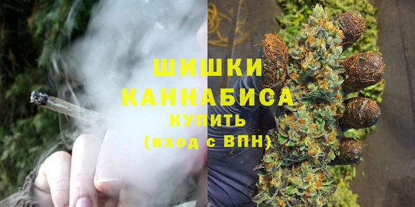 ECSTASY Богданович