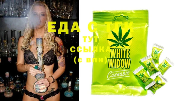 ECSTASY Богданович