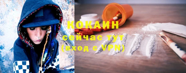 ECSTASY Богданович