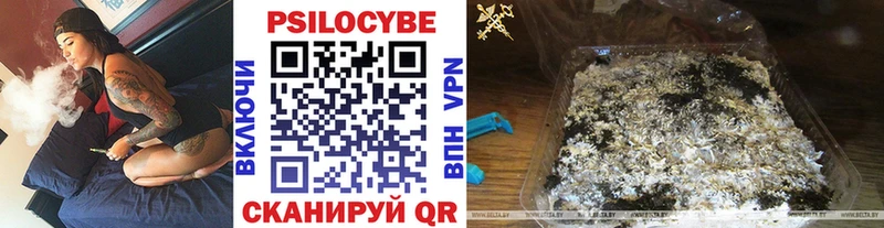 ссылка на мегу маркетплейс  магазин продажи наркотиков  Белый  Псилоцибиновые грибы GOLDEN TEACHER 